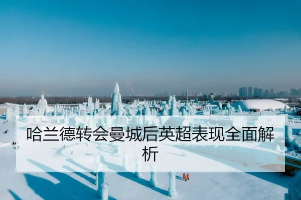 哈兰德转会曼城后英超表现全面解析